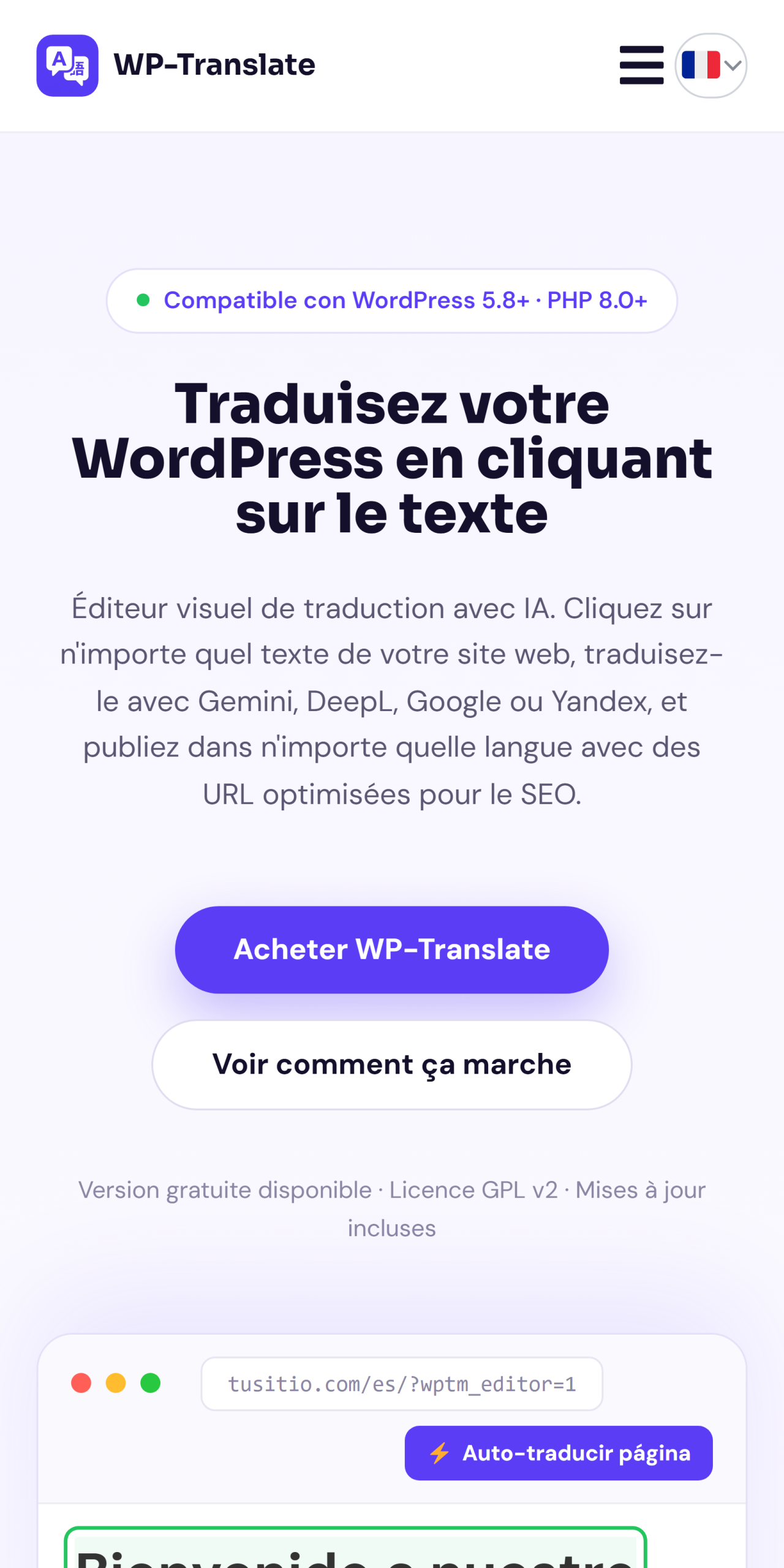 Web WordPress traducida vista en el móvil con WP-Translate